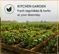 Kitchen garden at Cighu Agro Farm